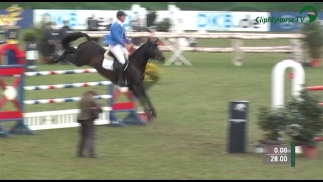 Codex One - Showjumping